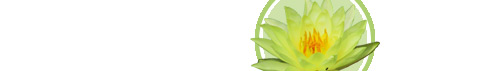 mein reiki braunau